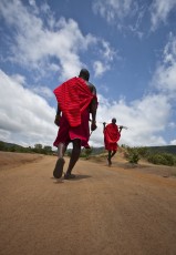 "The Battle"- Massai Marra area, Kenya